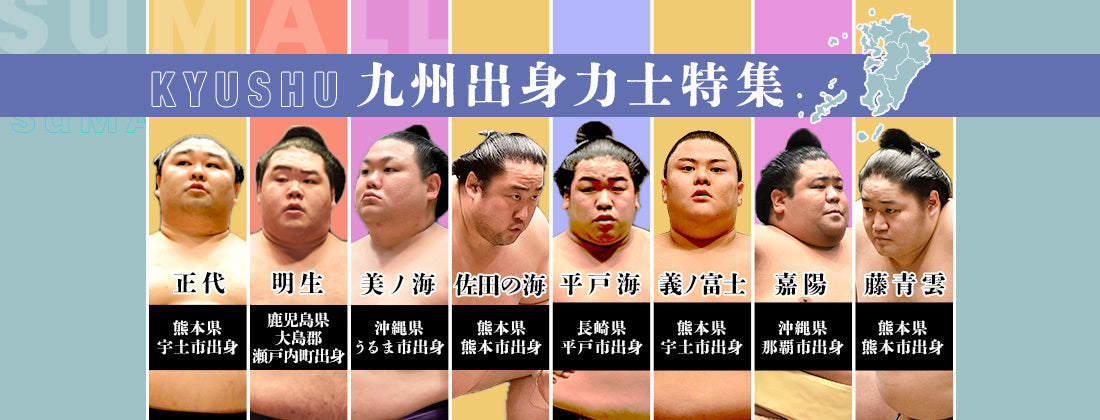 大相撲/力士 手形/三保ヶ関部屋/「北の湖/増位山/闘竜/播竜山」/捲り/まくり/横綱/大関/相撲/書画/美術品/① 新着商品 \u2013 お相撲さんのショッピングモール SuMALL（すも〜る）