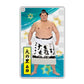 大相撲アクリルトレカ（全20種）