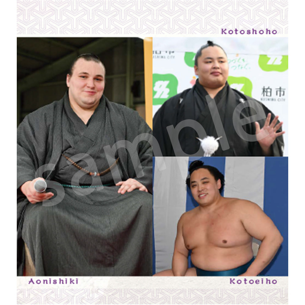 相撲日和（2027年力士卓上カレンダー）