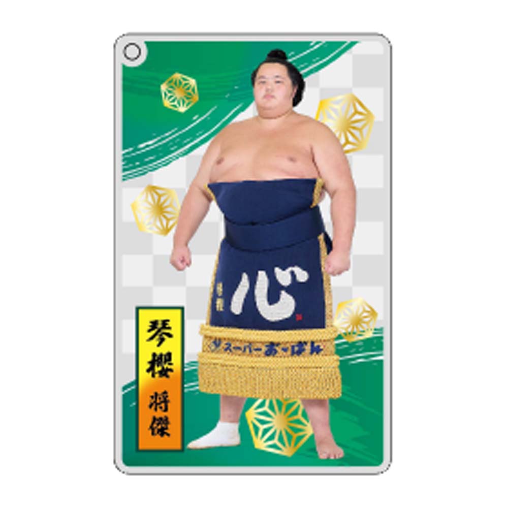大相撲アクリルトレカ（全20種）