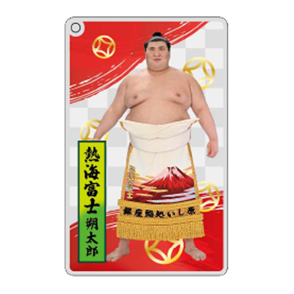 大相撲アクリルトレカ（全20種）
