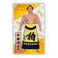 大相撲アクリルトレカ（全20種）