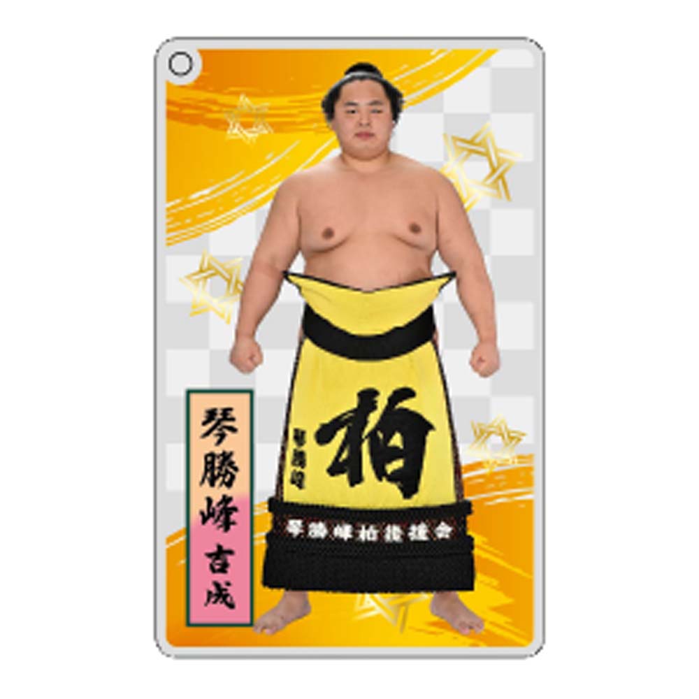 大相撲アクリルトレカ（全20種）