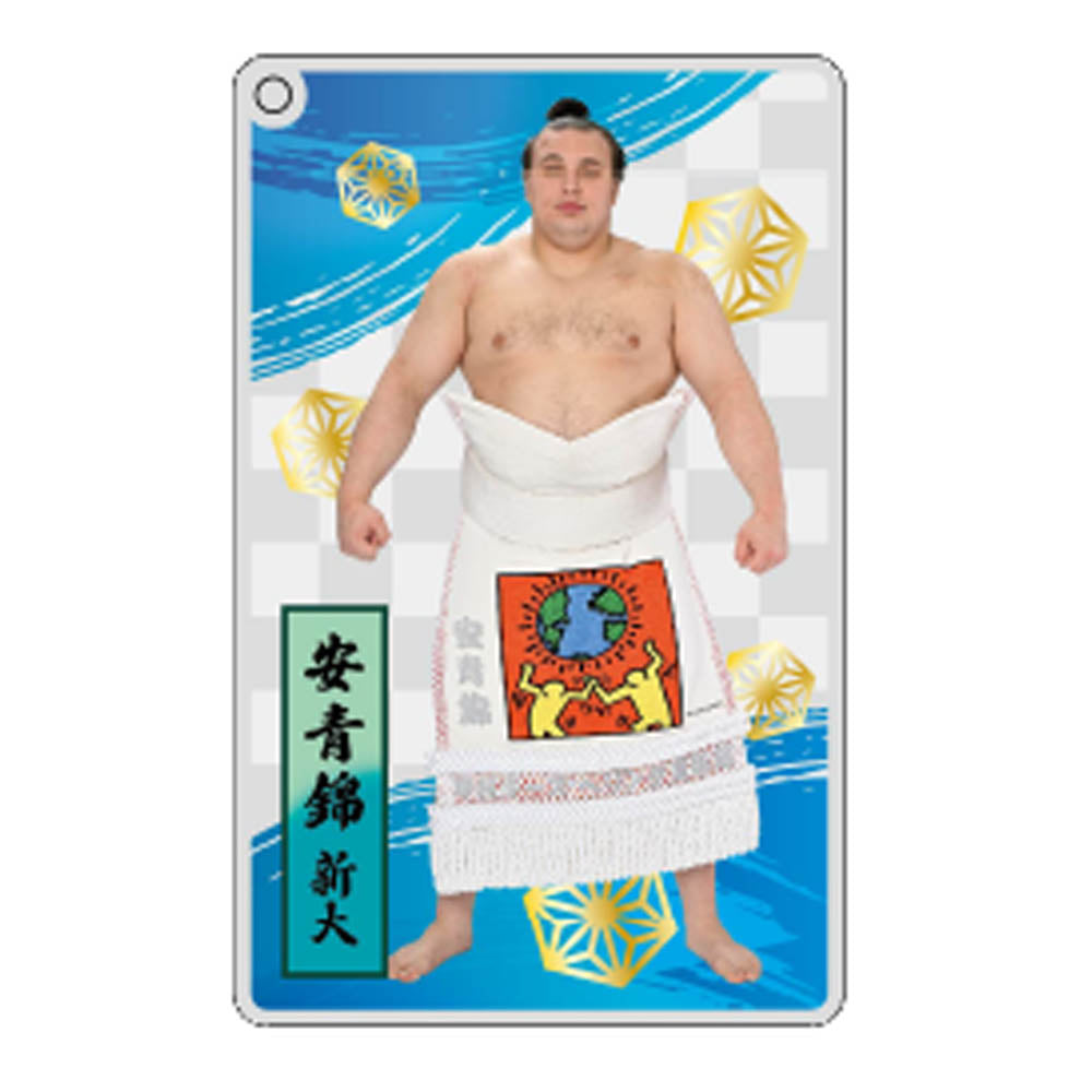 大相撲アクリルトレカ（全20種）