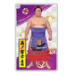 大相撲アクリルトレカ（全20種）