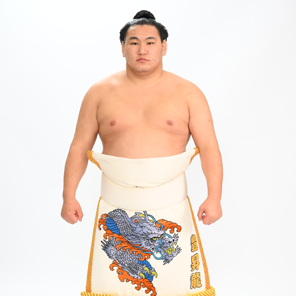 大相撲 豊昇龍 力士反物 新品 - 素材/材料 大相撲 豊昇龍 力士反物 新品 - 素材/材料