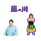 Fan Favorites Set Fujinokawa