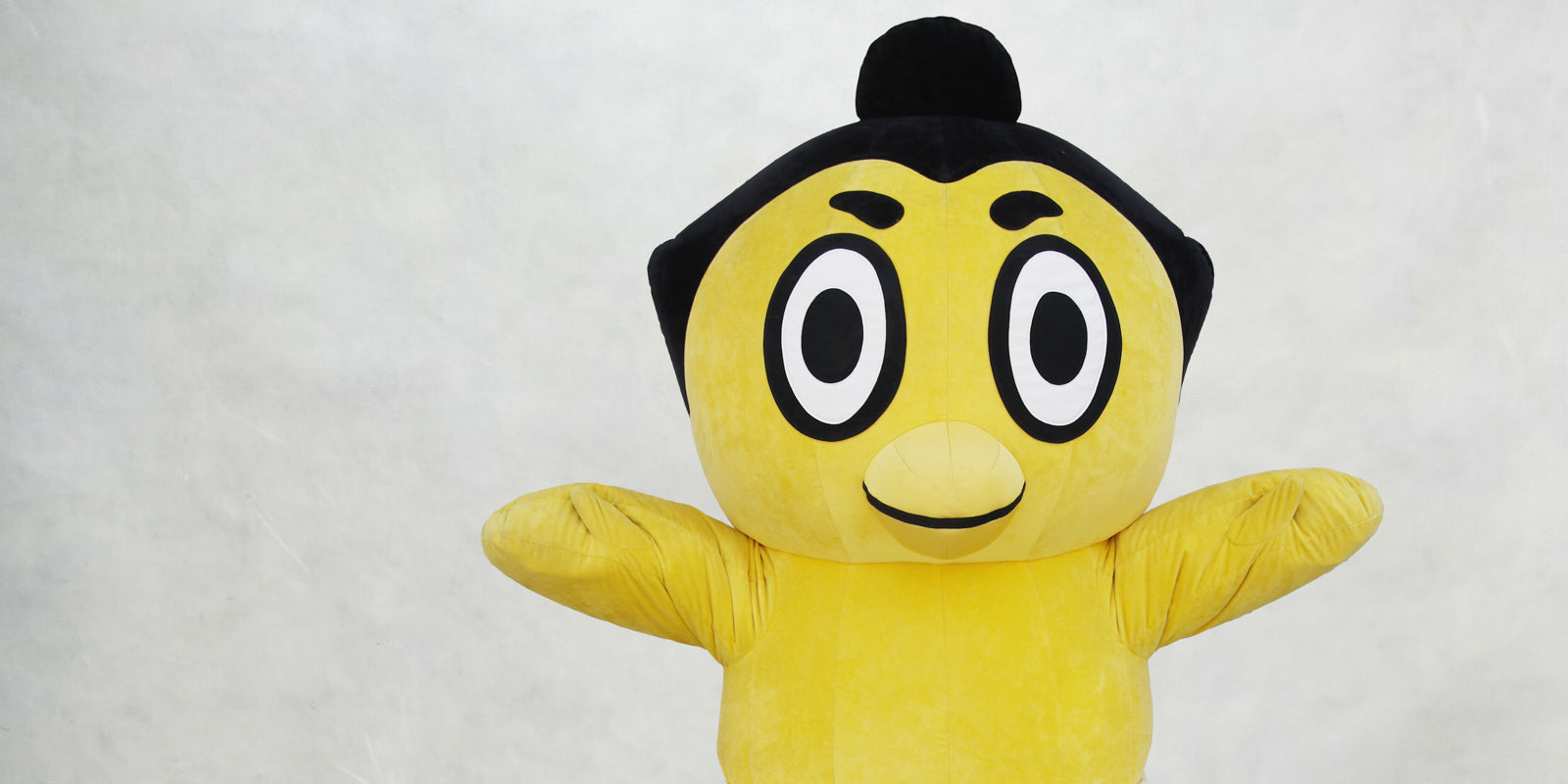 ひよの山（ひよのやま）のグッズ一覧 – お相撲さんのショッピング