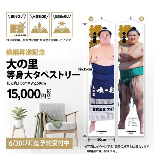大の里 横綱昇進記念 等身大タペストリー