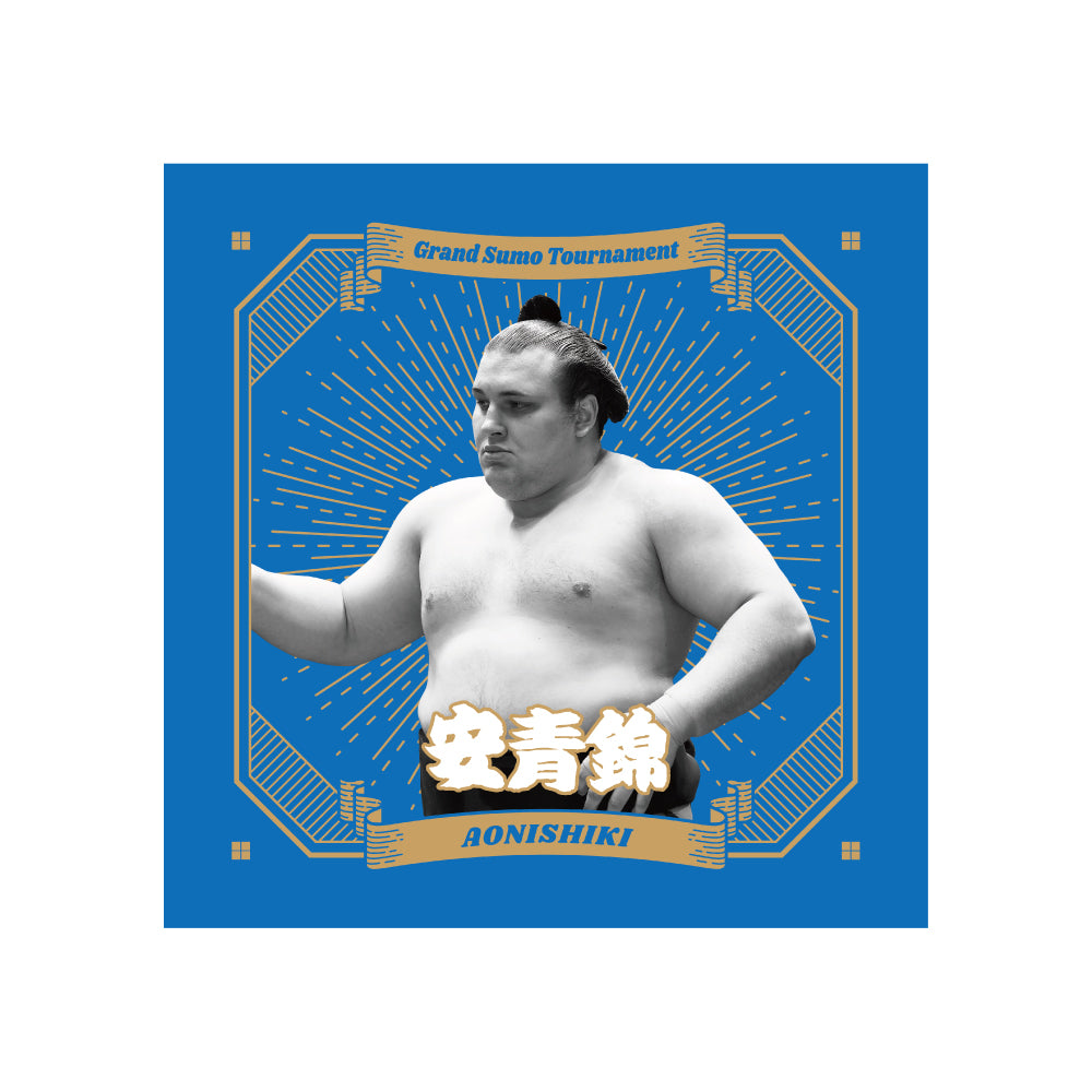 ごひいきセット(安青錦)