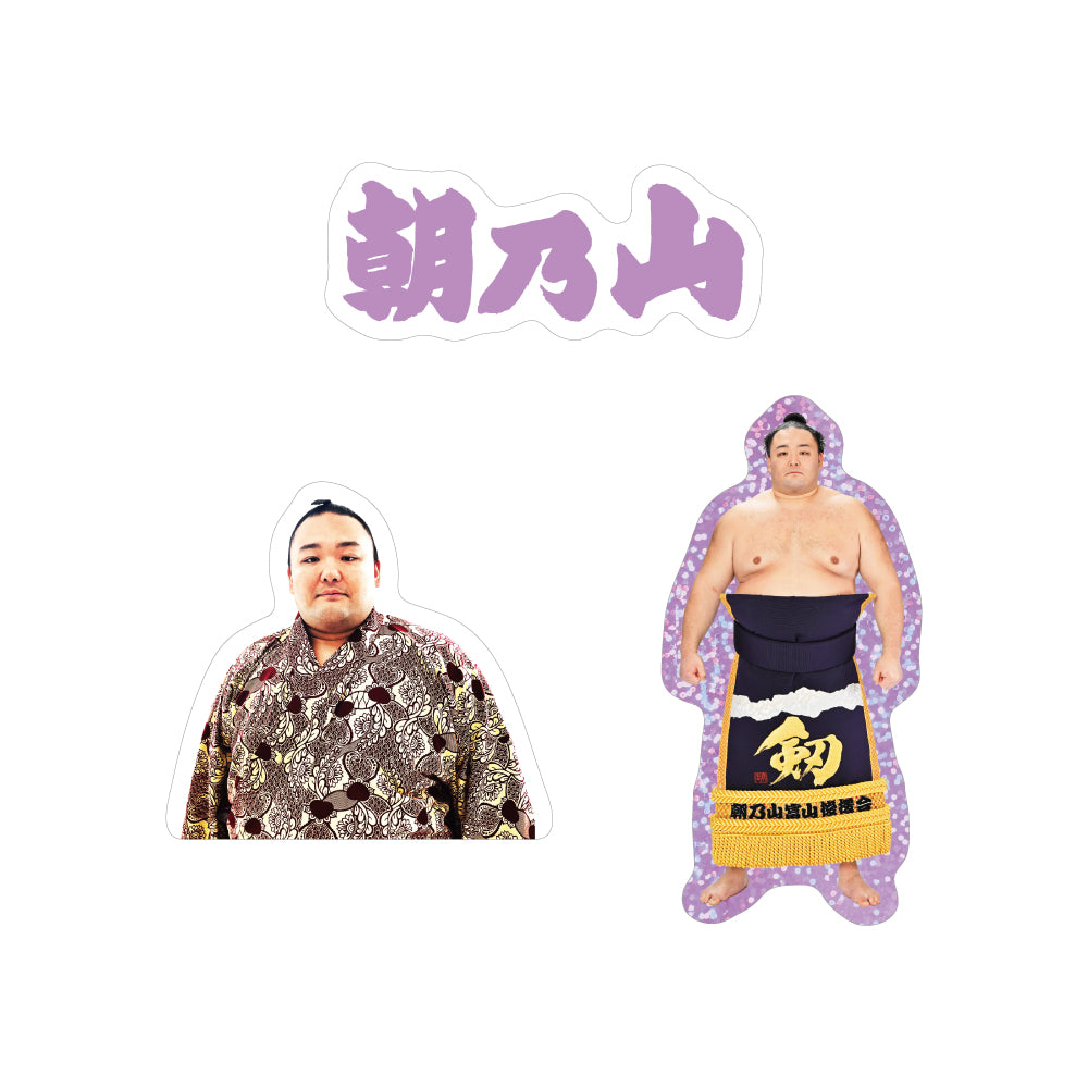 ごひいきセット(朝乃山)