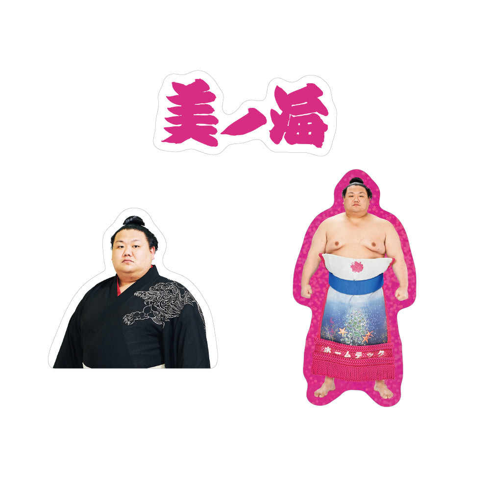 ごひいきセット(美ノ海)