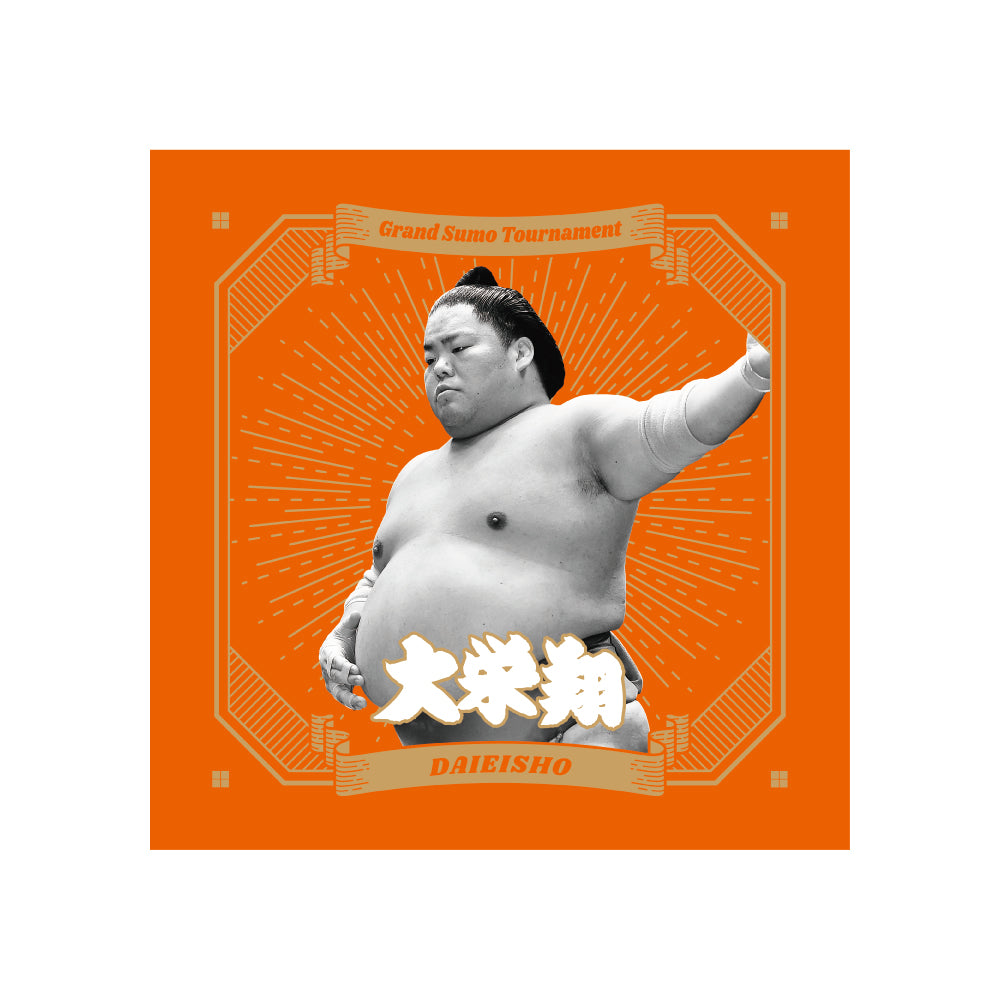 ごひいきセット(大栄翔)