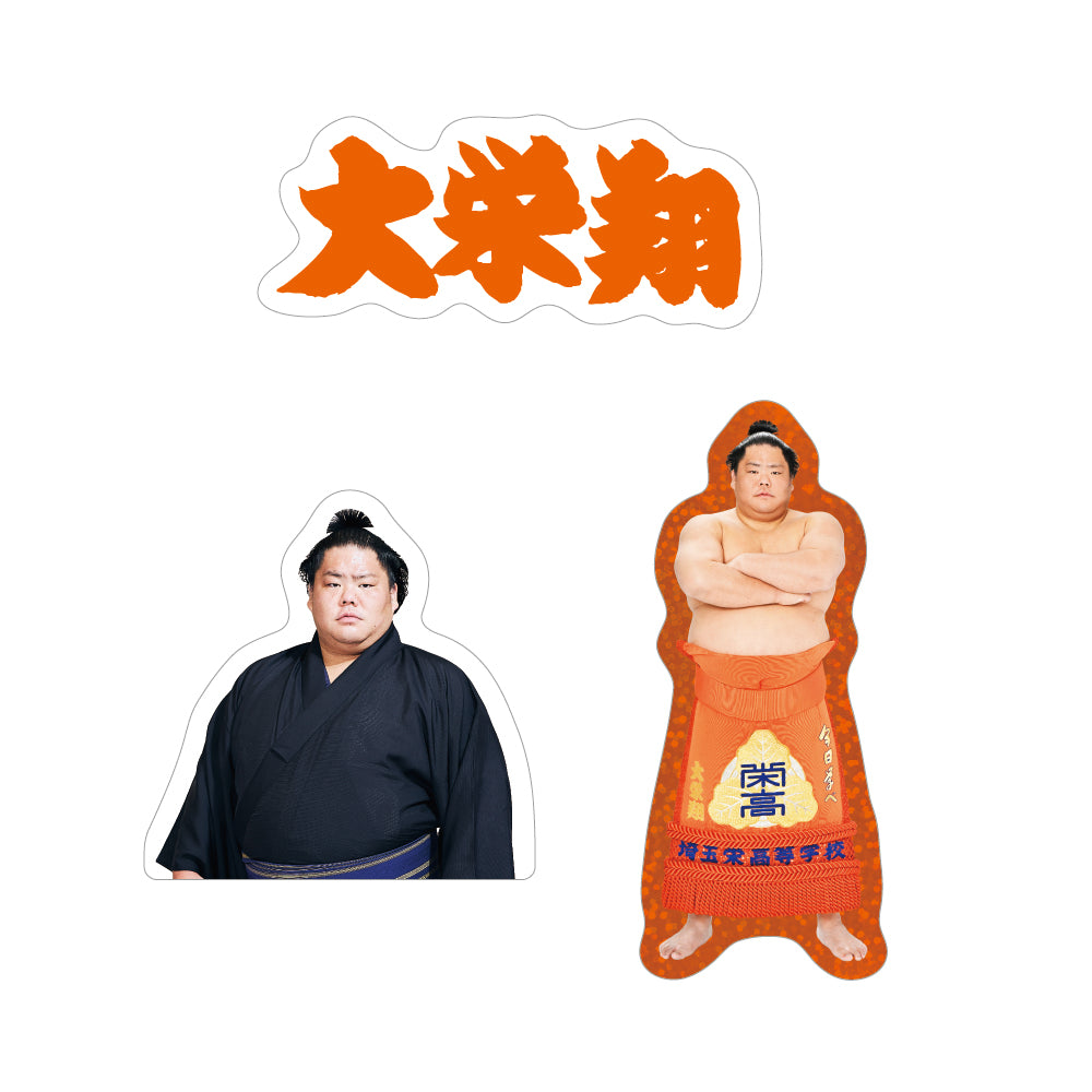 ごひいきセット(大栄翔)