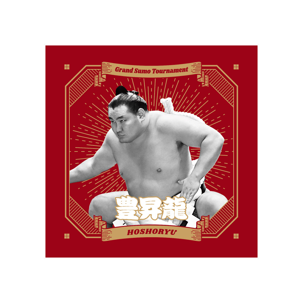 ごひいきセット(豊昇龍)