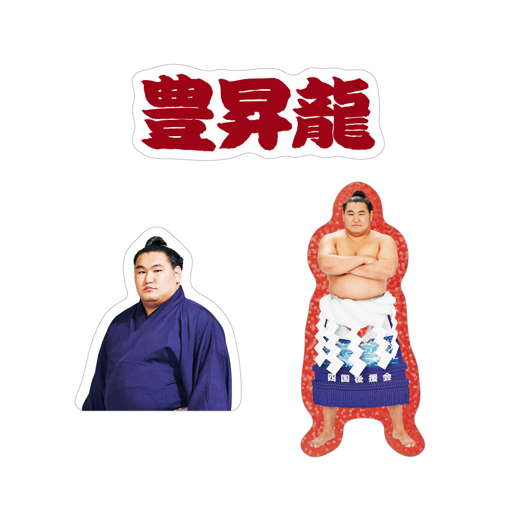 ごひいきセット(豊昇龍)
