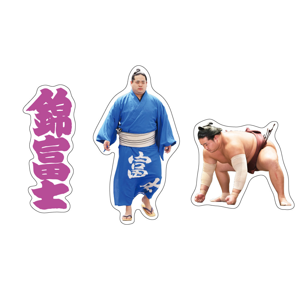 Sumo Wrestler Support Set (Nishikifuji)