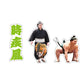 Rikishi Support Set (Tokihayate)