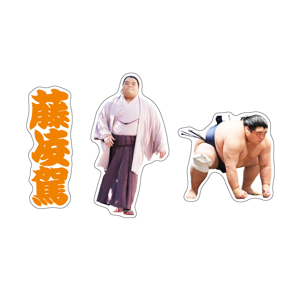 Sumo Wrestler Support Set (Fujiryouga)