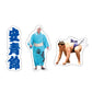 力士応援セット（安青錦）