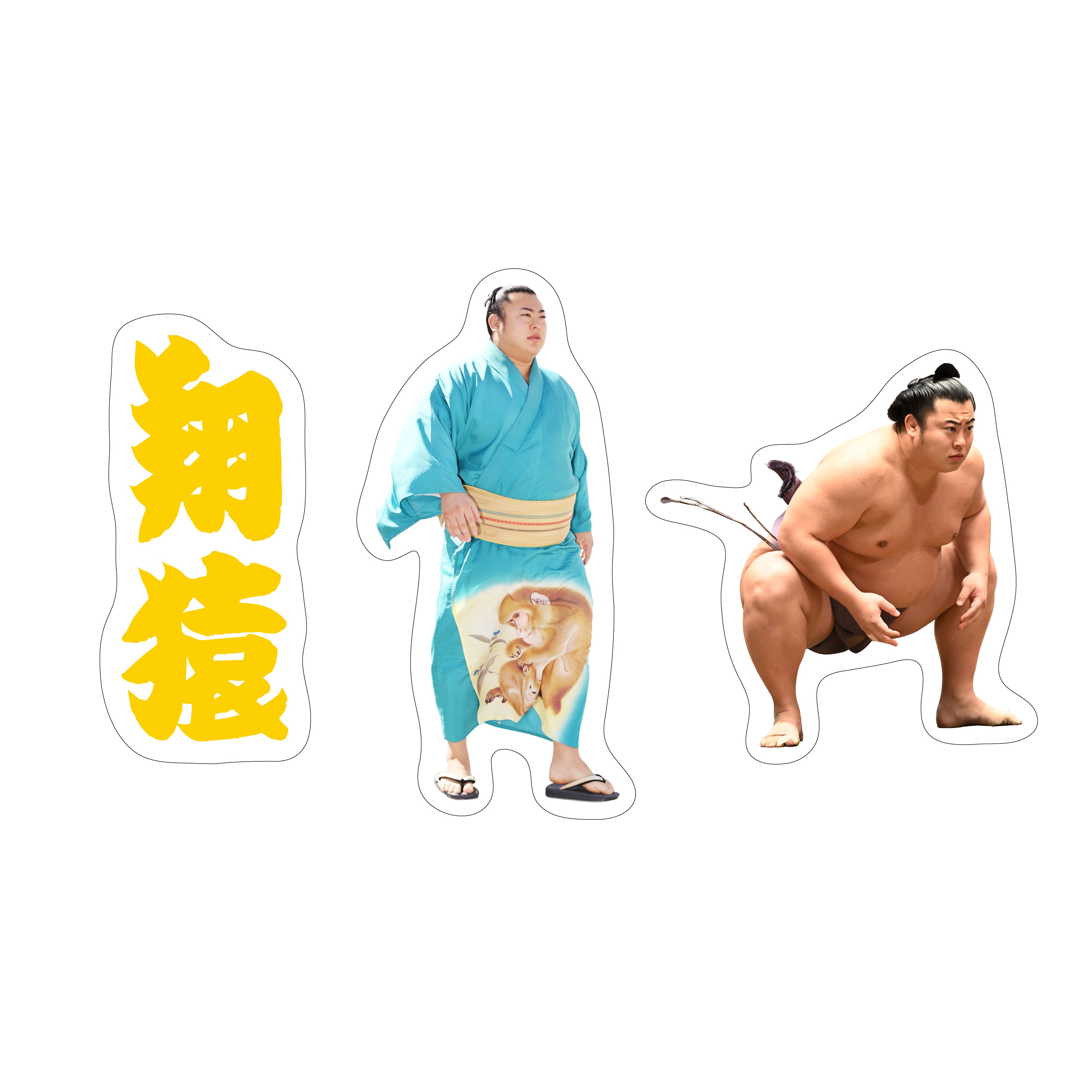 大相撲 翔猿 3点セット｜Yahoo!フリマ（旧PayPayフリマ）