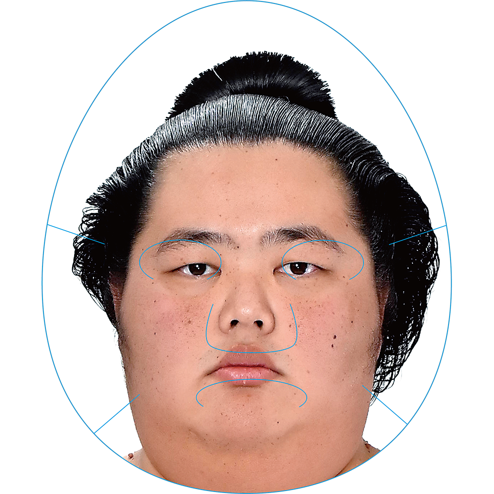 Kotozakura Impersonator Face Pack