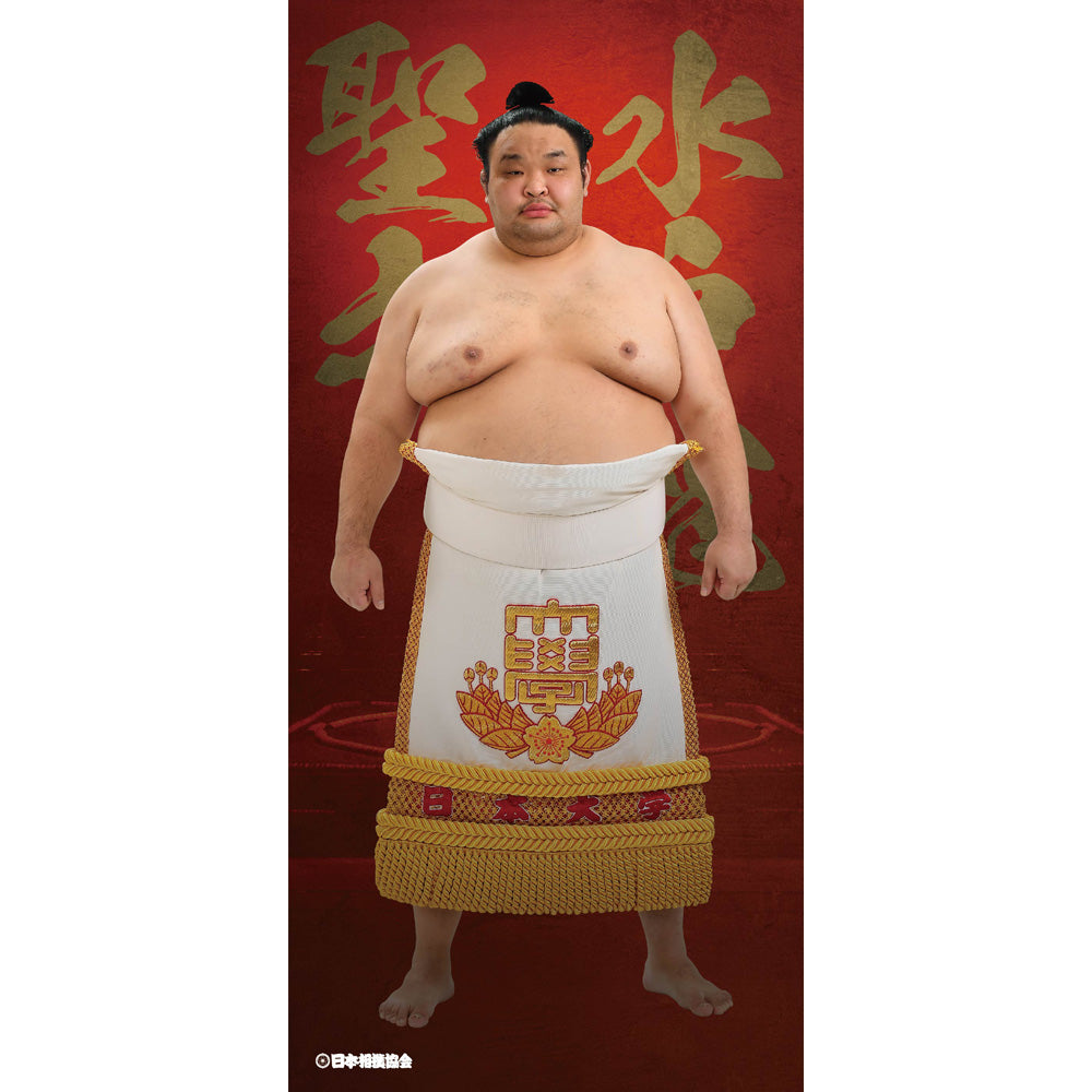 ビッグサイズポスター – お相撲さんのショッピングモール SuMALL（すも 