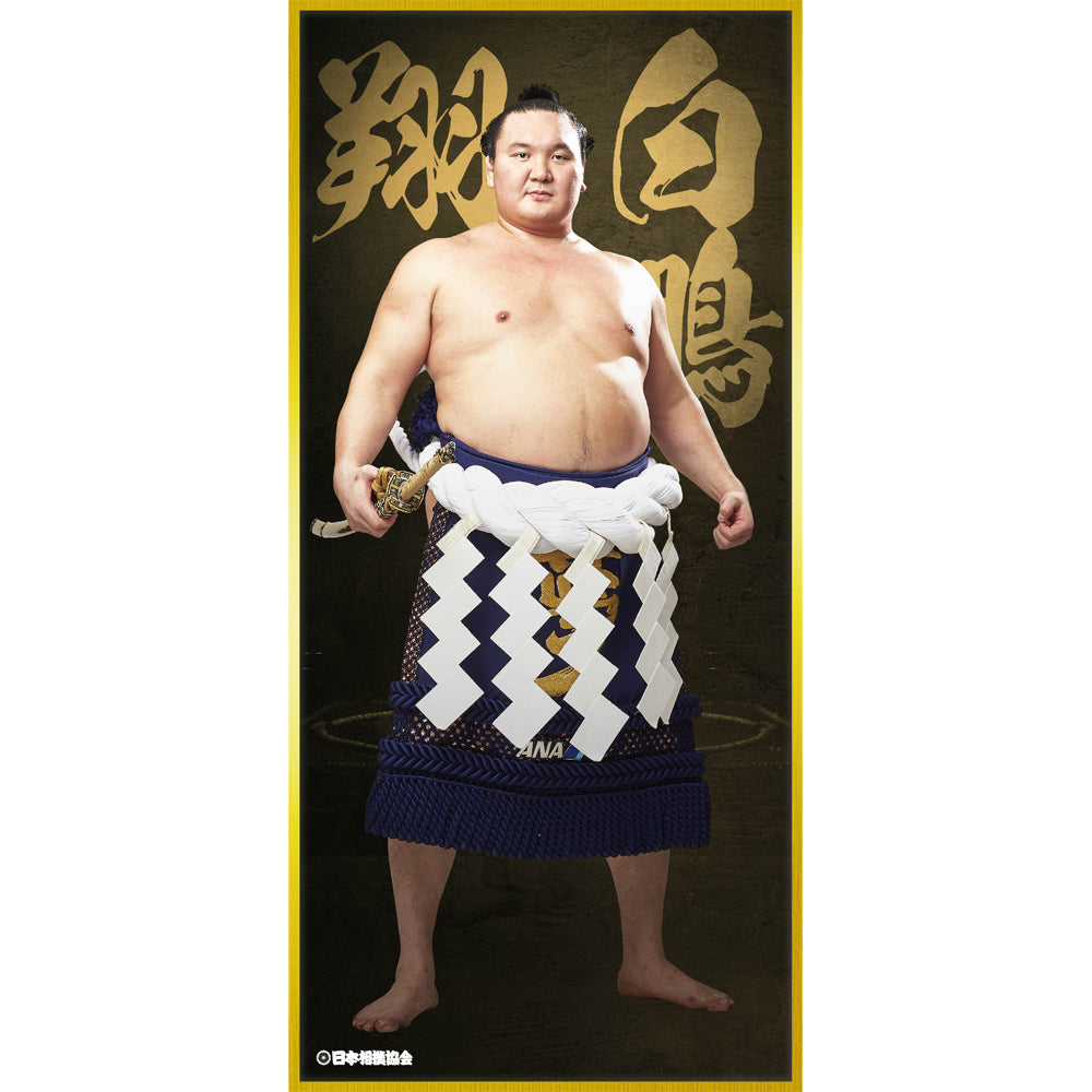 白鵬