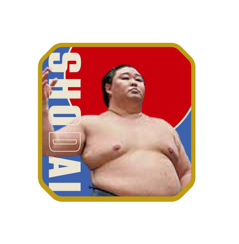 大相撲カプセルコレクション 人気力士ピンバッジ コンプリートセット